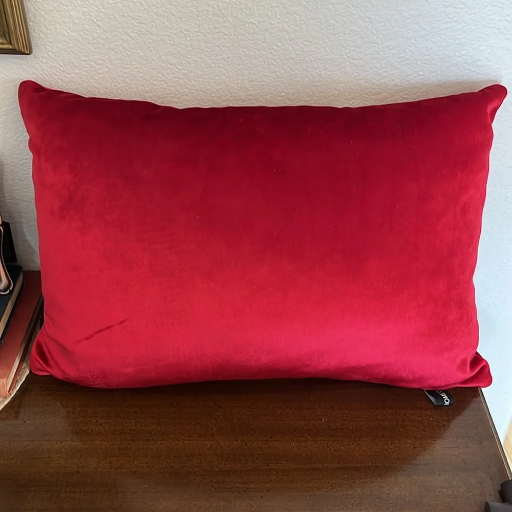 Rodeo Home Festive Red 'Let It Snow' Holiday Velvet Down Pillow